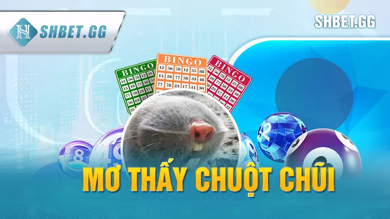 Nằm mơ thấy chuột điềm báo gì? Giải mã giấc mộng chi tiết 5 Mơ thấy chuột chũi